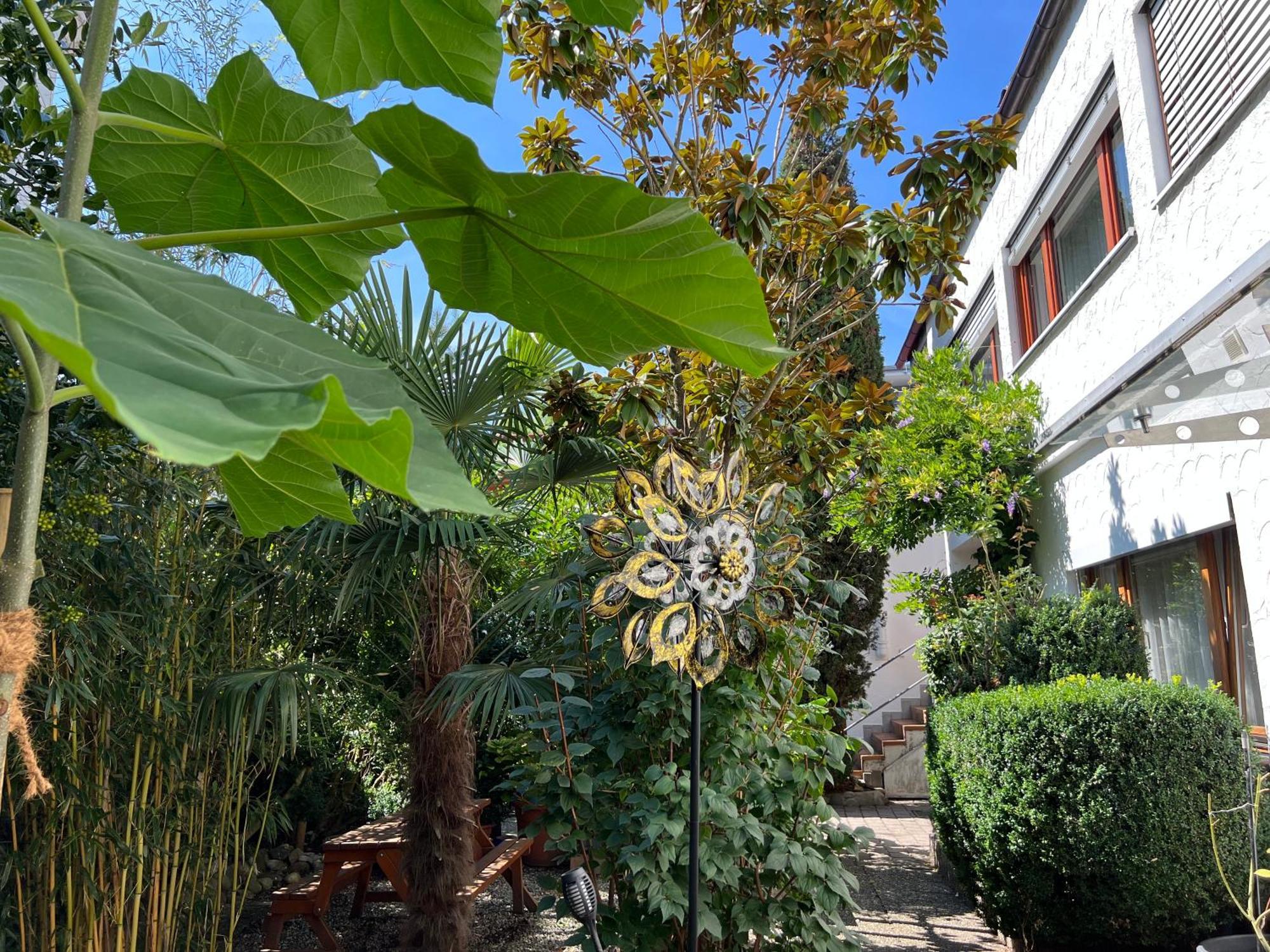 Haus Pia Executive Apartments FDH Rum bild